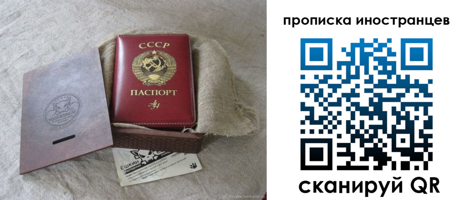 прописка поиск в Зеленогорске